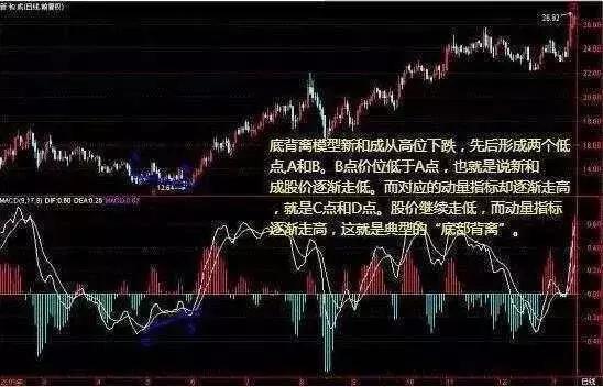 澳门金牛网金牛版论坛｜实用技巧与详细解析