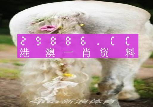 彩钢企口型围挡 第70页