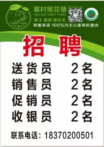 修水招聘网女性人才最新招聘信息概览